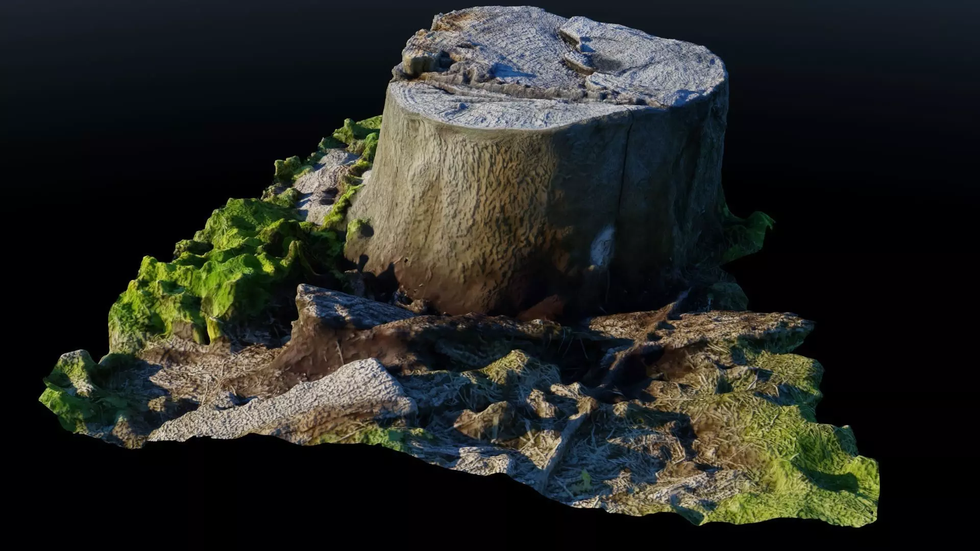 Tree Stump 2 Low-poly 3D model_0