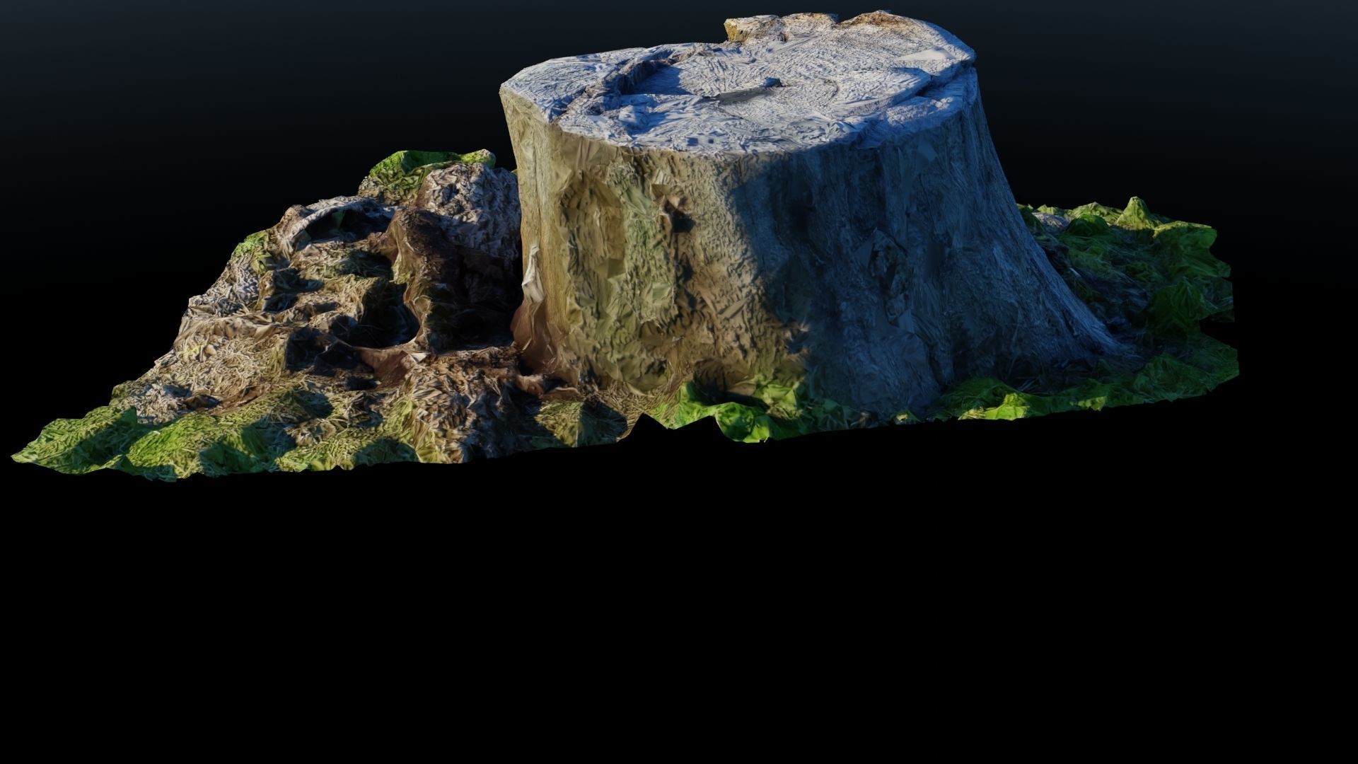 Tree Stump 2 Low-poly 3D model_8