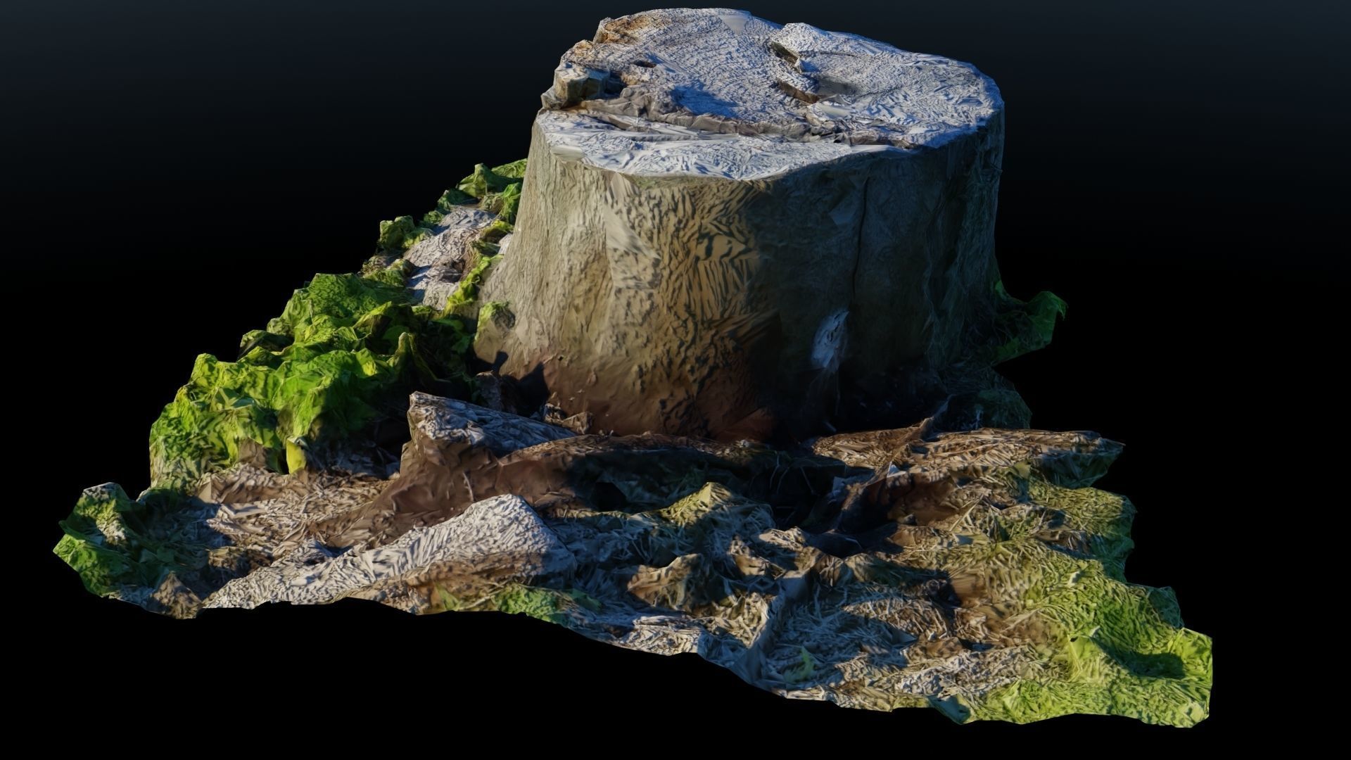 Tree Stump 2 Low-poly 3D model_5