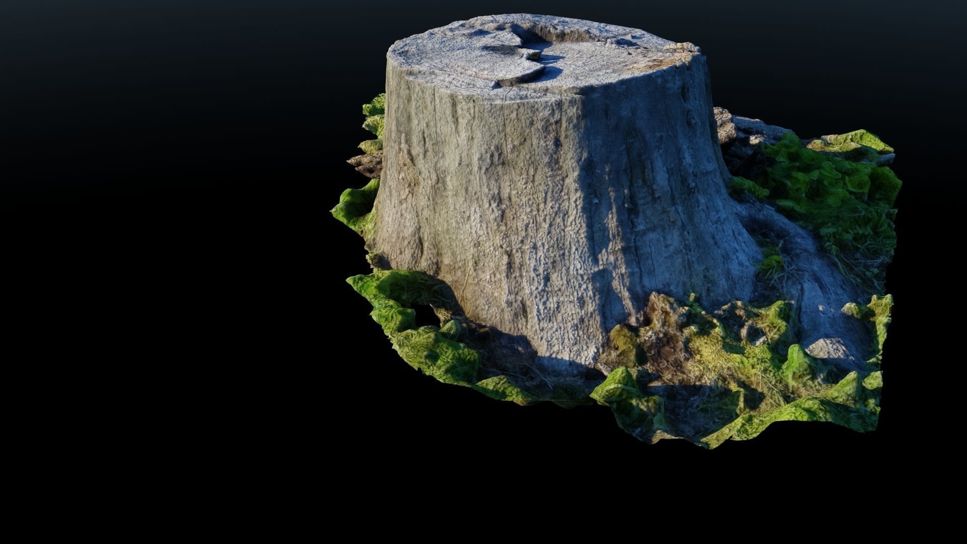 Tree Stump 2 Low-poly 3D model_3