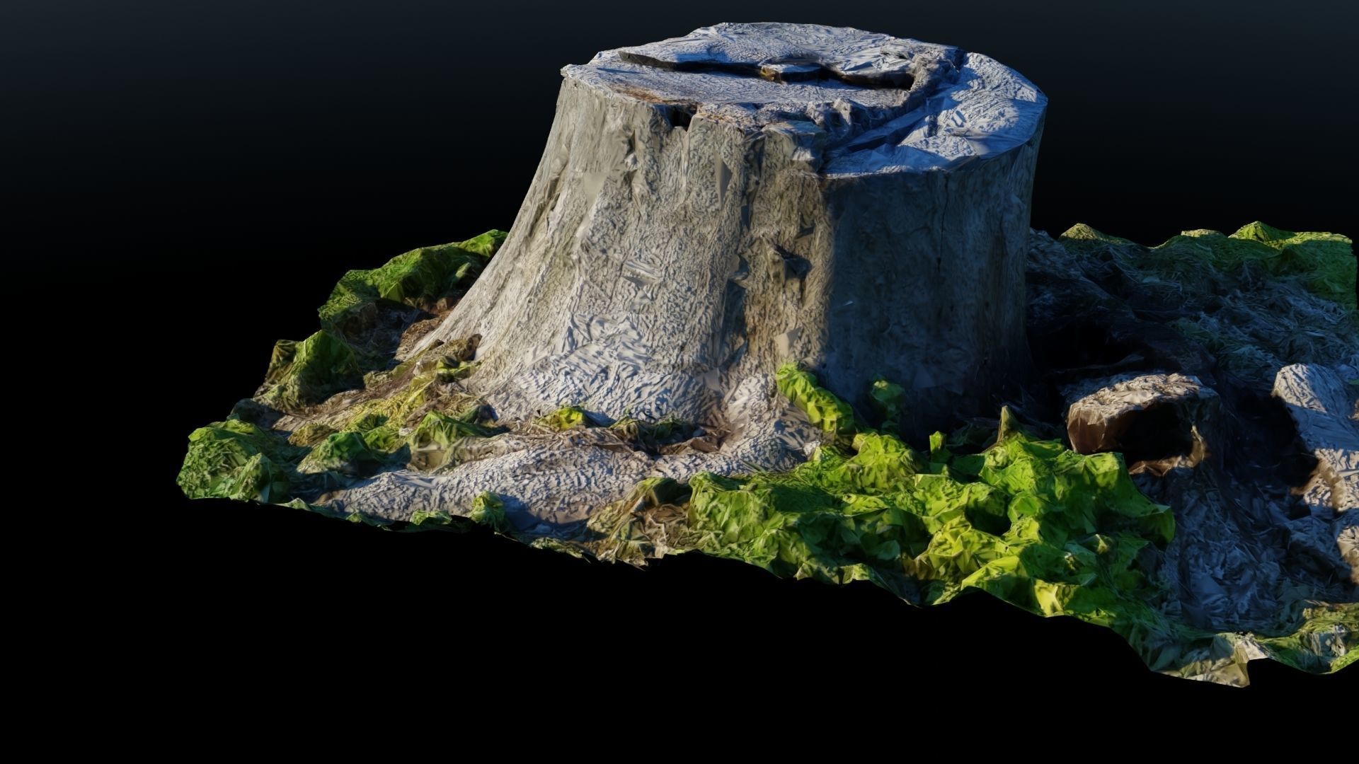 Tree Stump 2 Low-poly 3D model_9