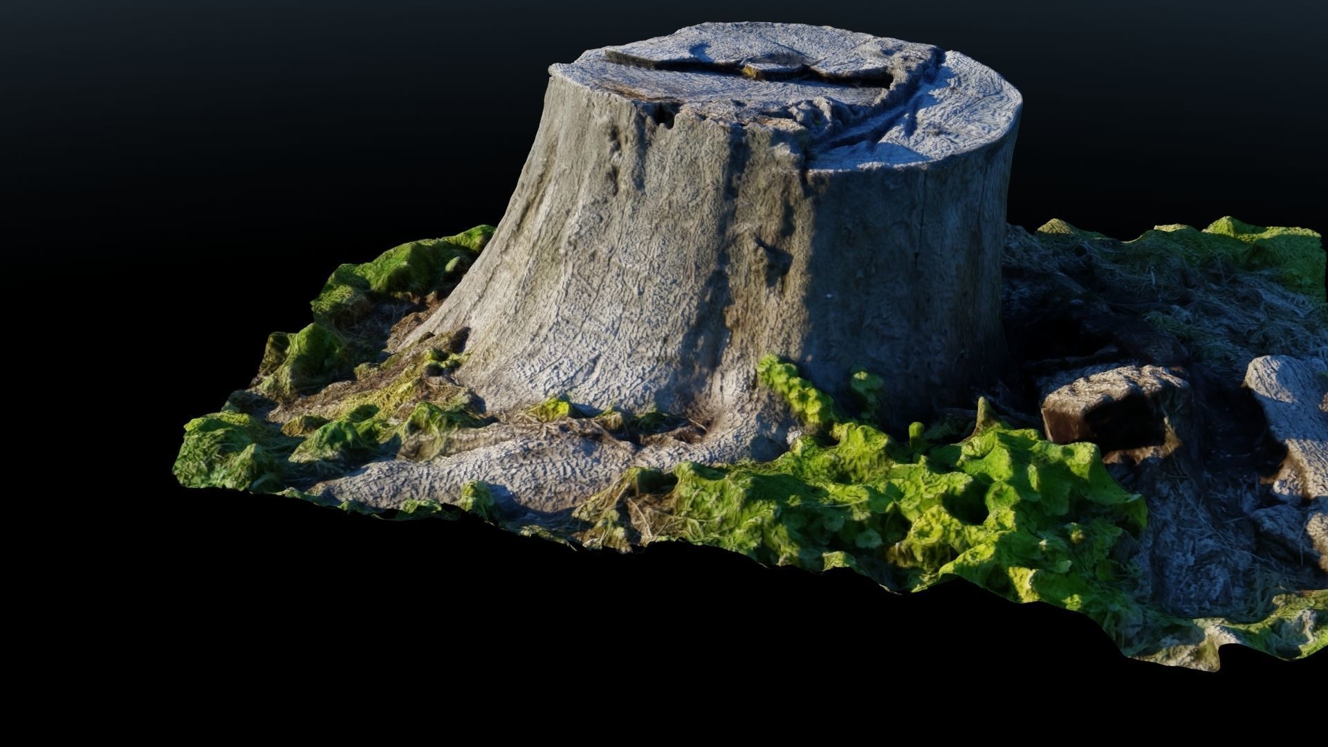 Tree Stump 2 Low-poly 3D model_2
