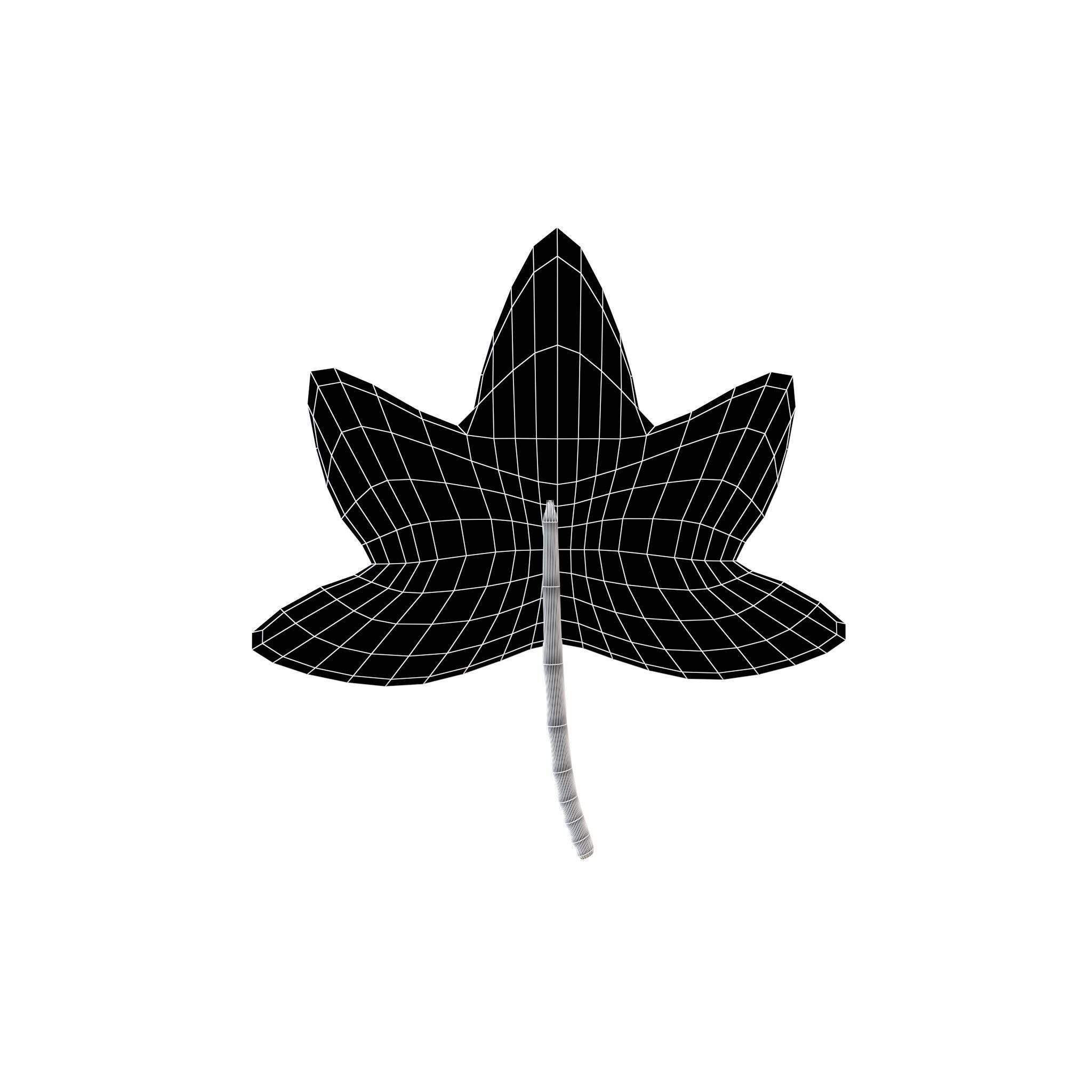 Cartoon Leaf v5 001 Low-poly 3D model_4