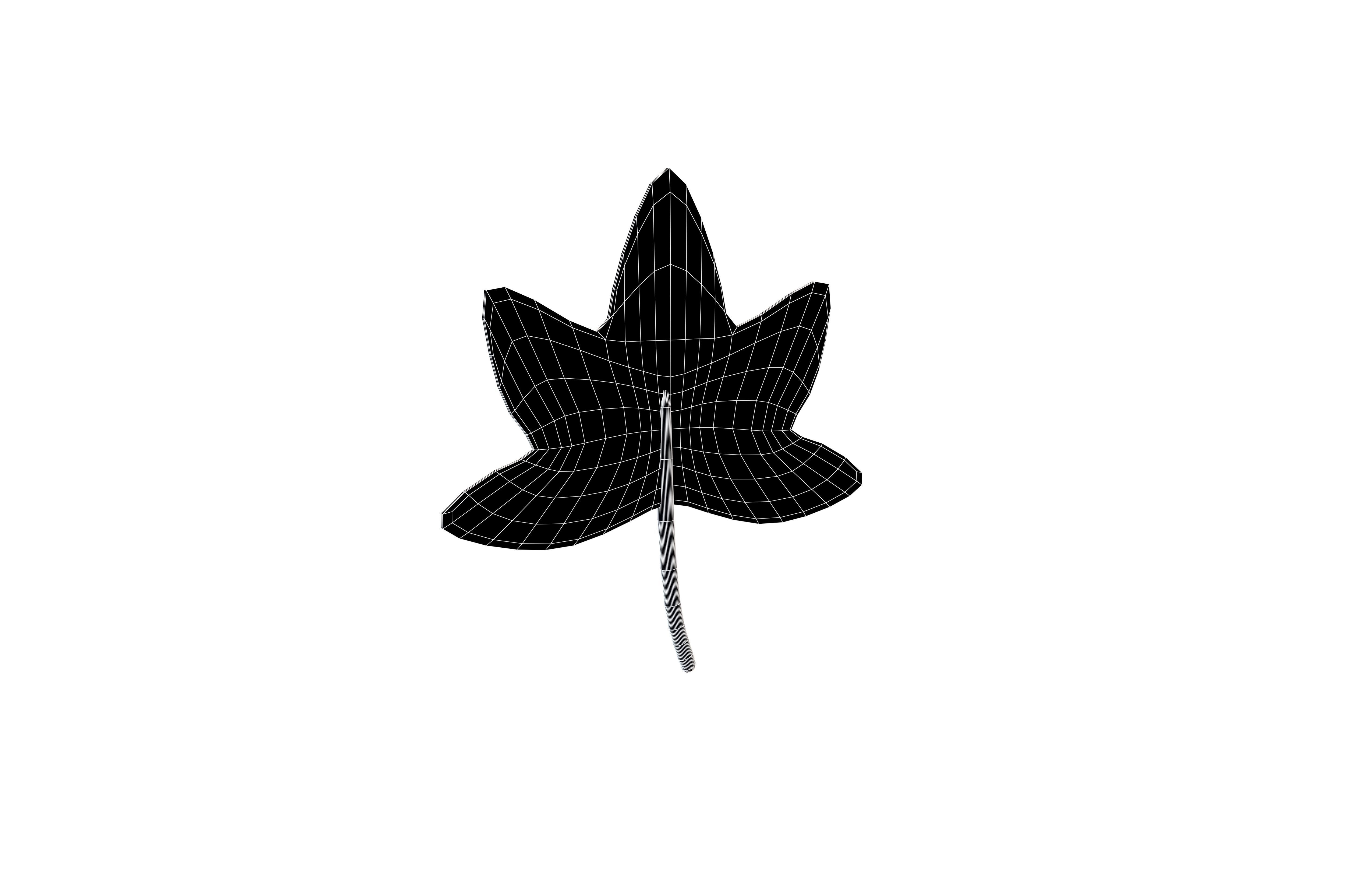Cartoon Leaf v5 002 Low-poly 3D model_6