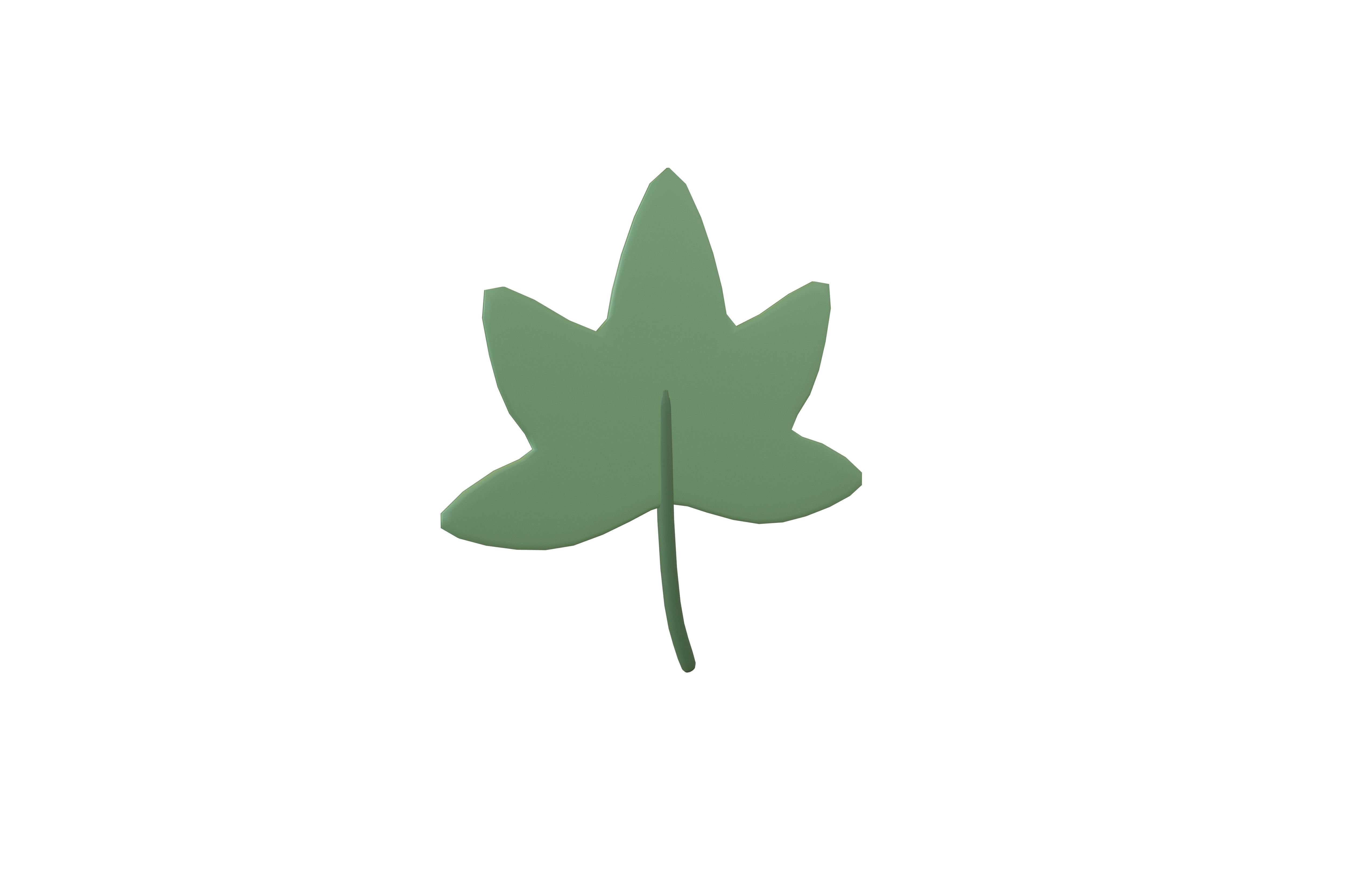 Cartoon Leaf v5 002 Low-poly 3D model_1