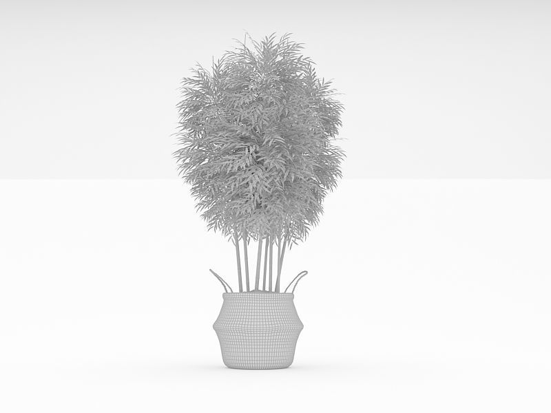 Potted Plants 3D model_3