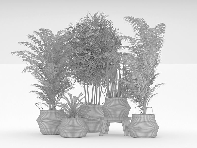 Potted Plants 3D model_2