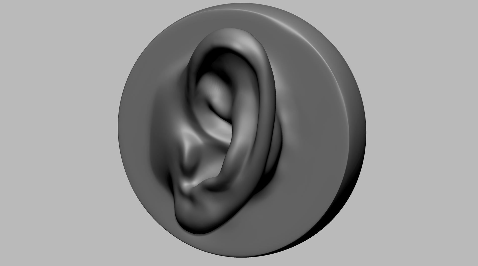 Ear Model A 3D model_3