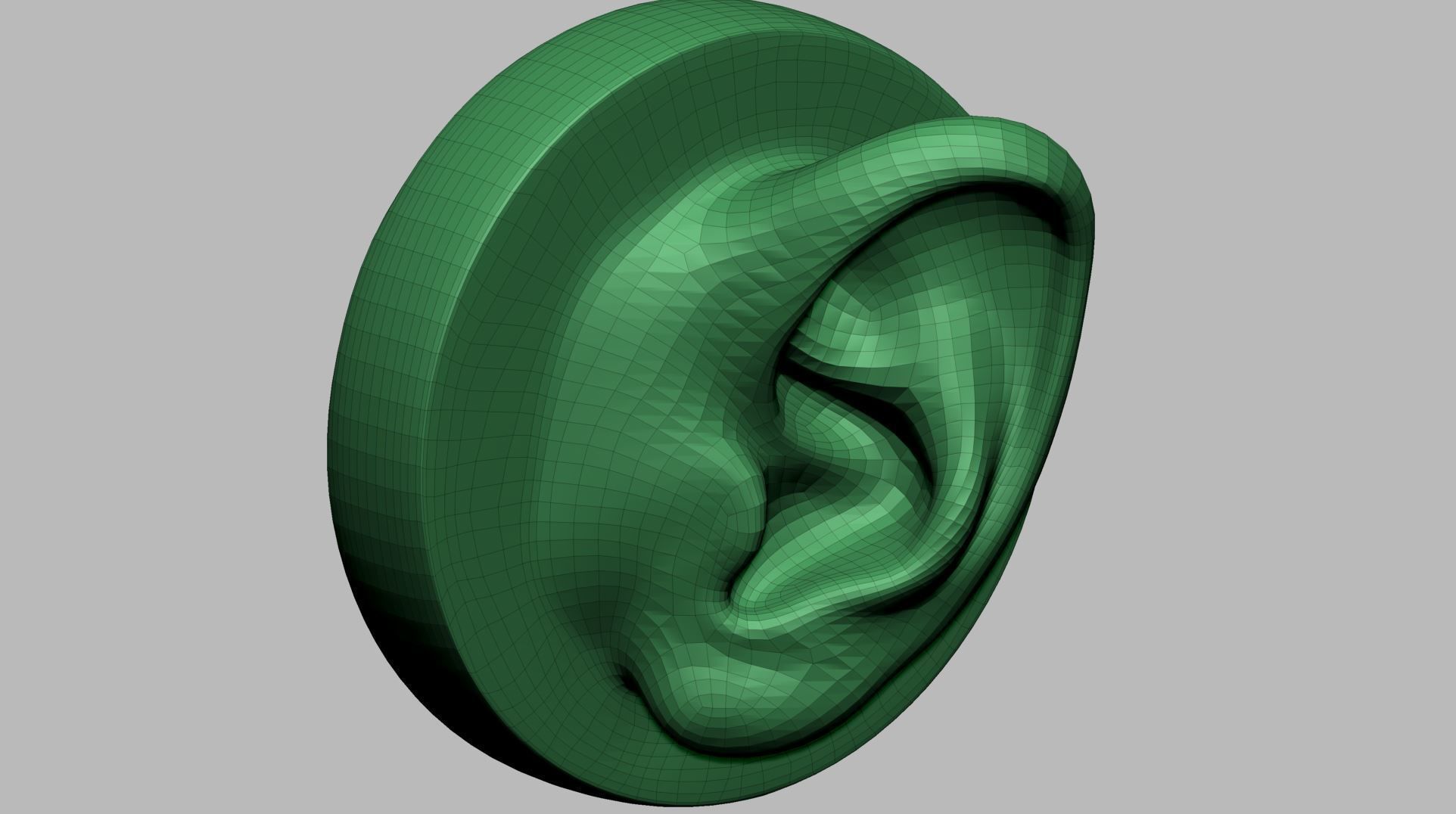 Ear Model A 3D model_9