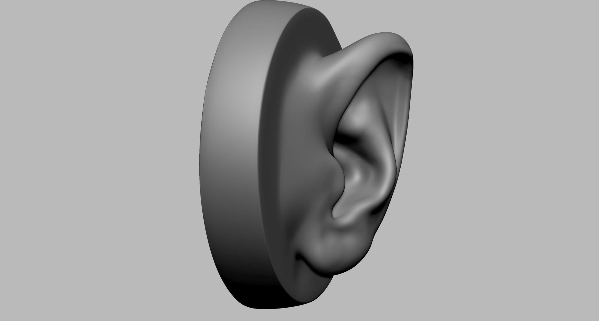 Ear Model A 3D model_2