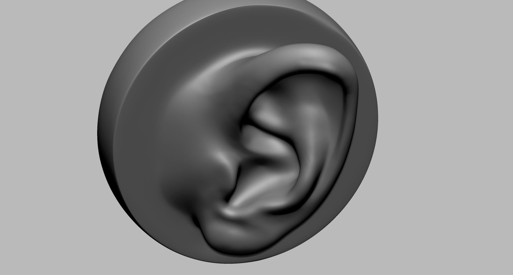 Ear Model A 3D model_5