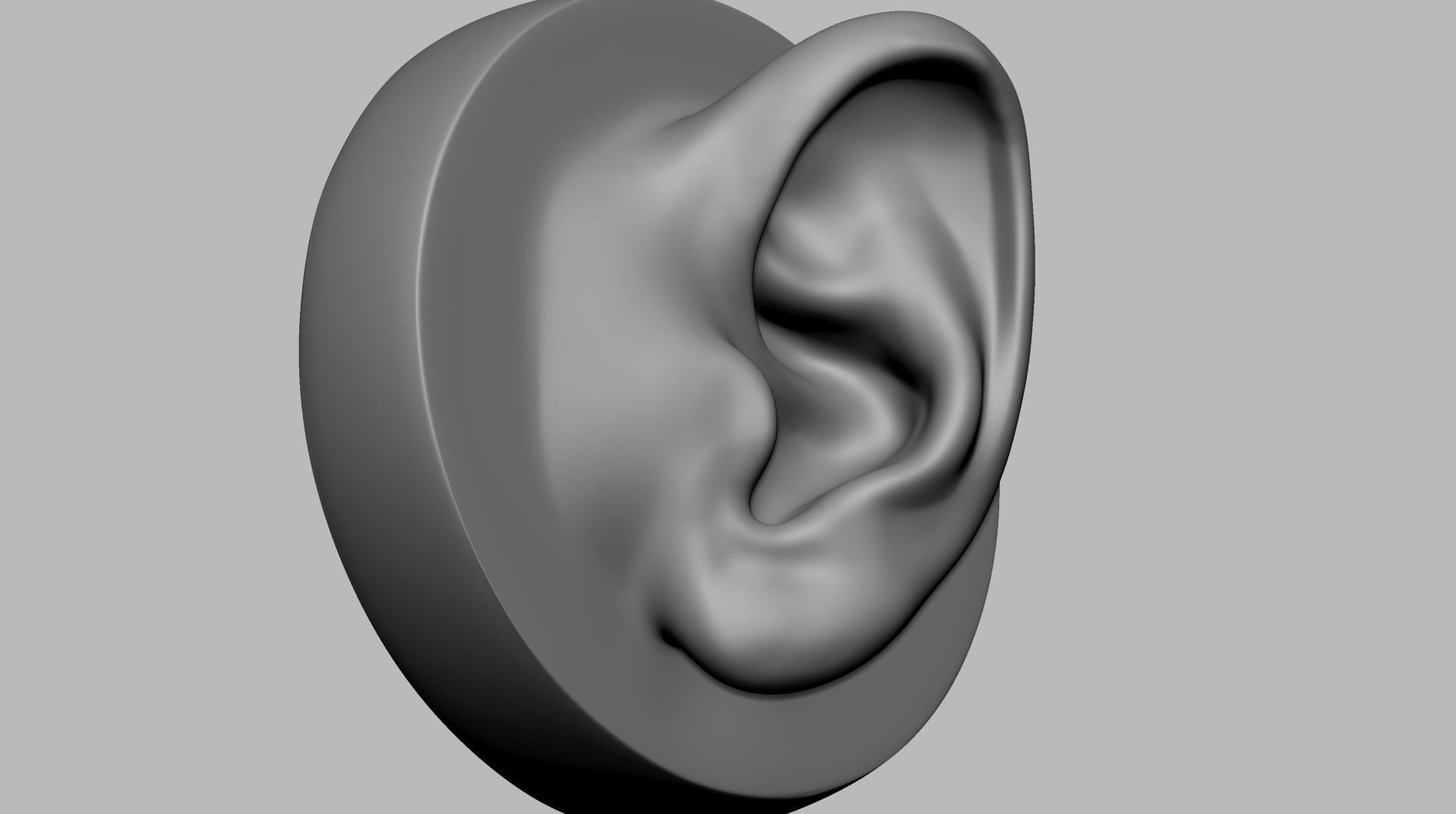 Ear Model A 3D model_6