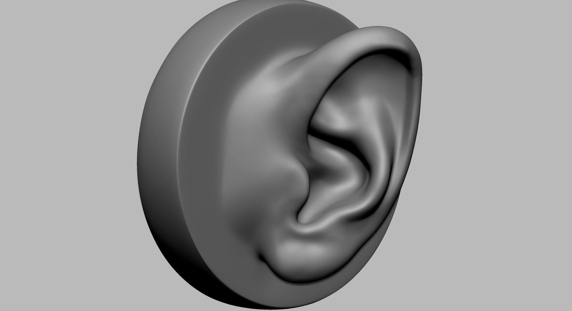 Ear Model A 3D model_1