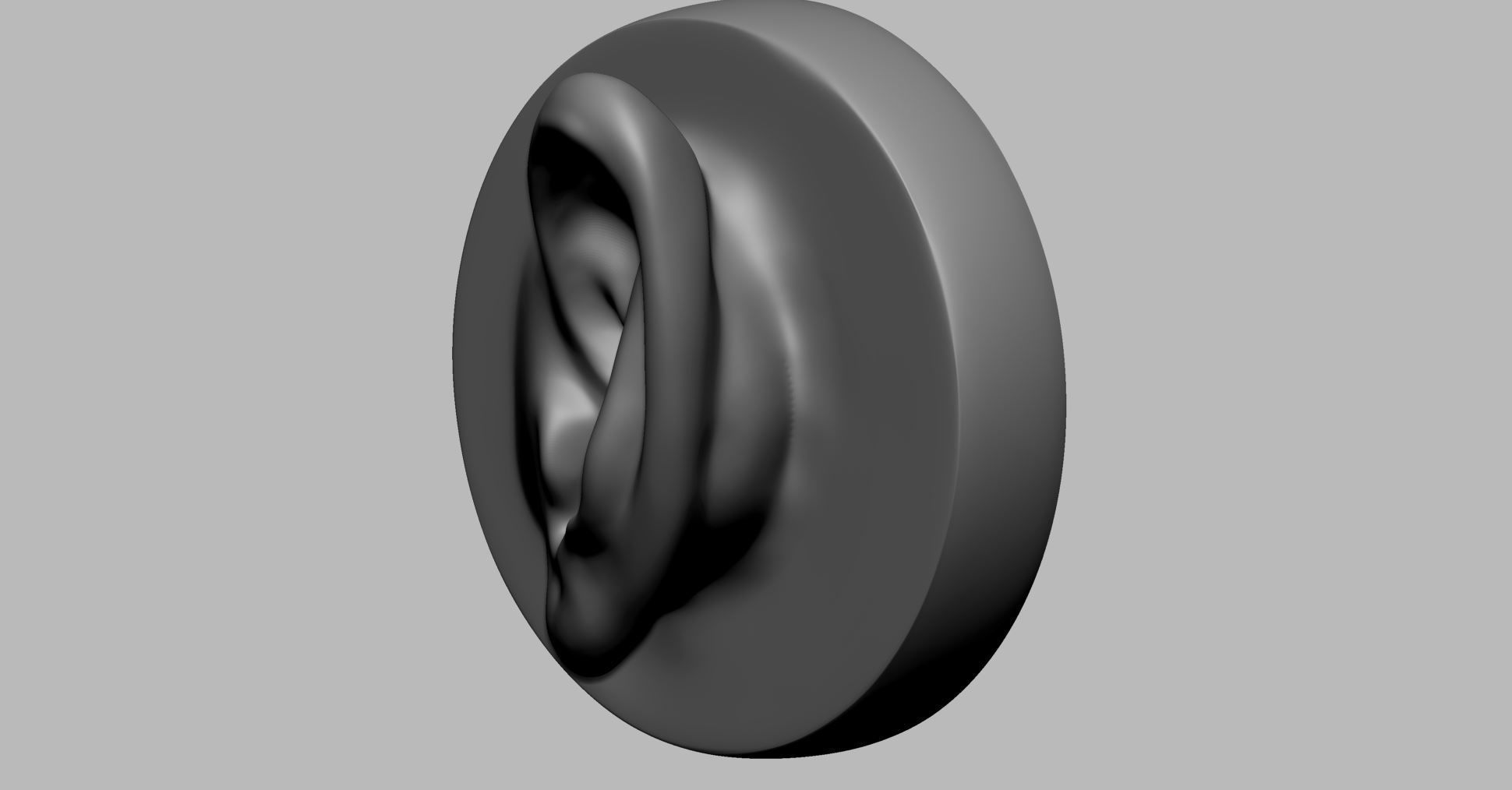 Ear Model A 3D model_4