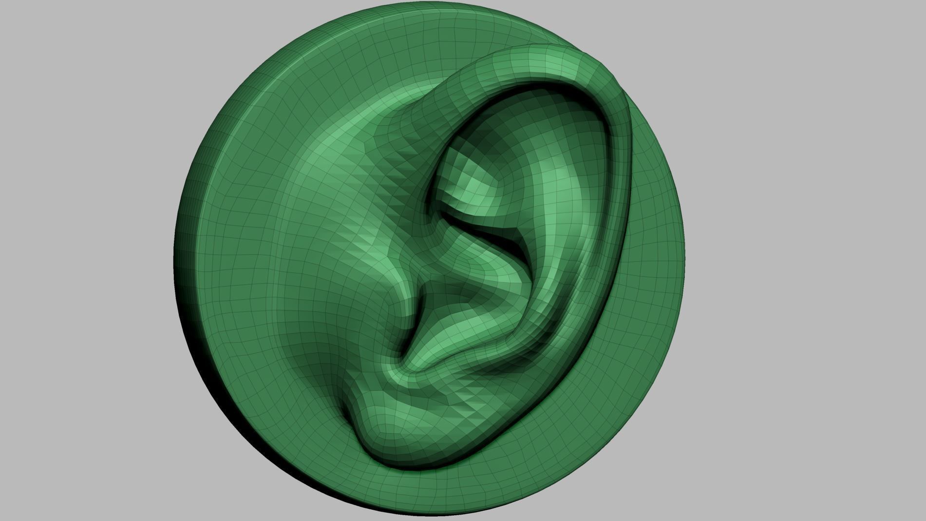 Ear Model A 3D model_8