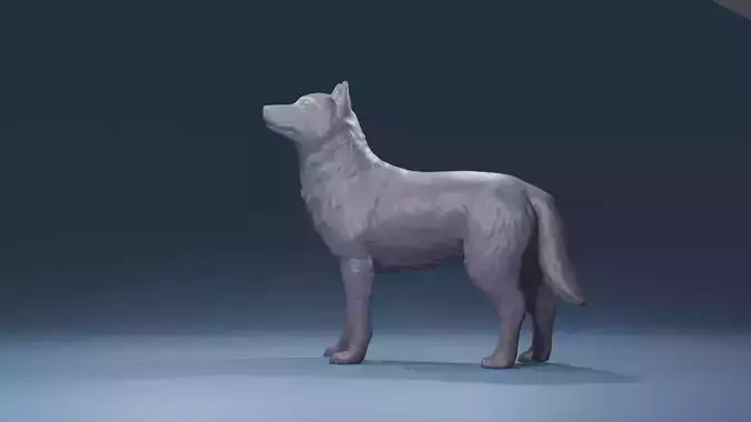 High Poly Husky Wolfdogmix for Printing   sled dog standing
