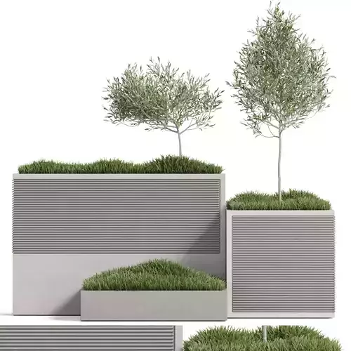 Plants collection 773 3D model