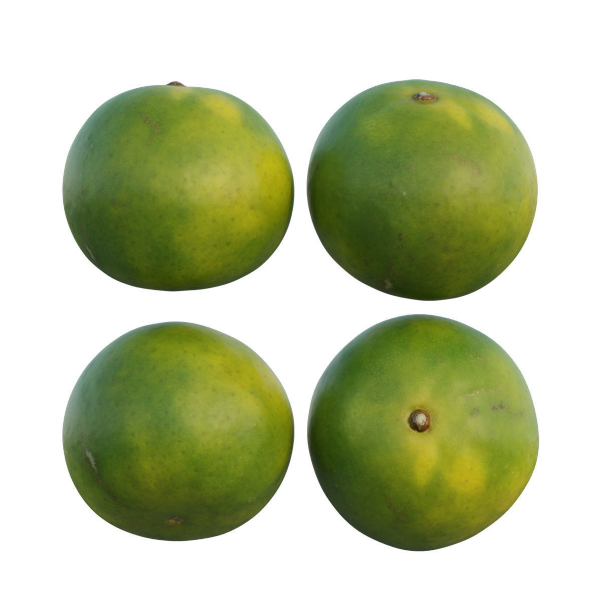 Mandarin four mangoes 3D model_4