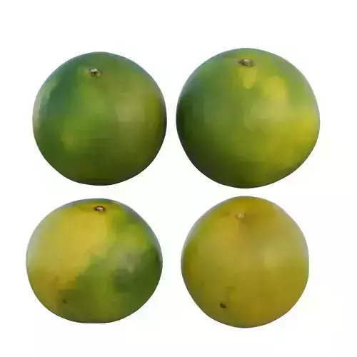 Mandarin four mangoes