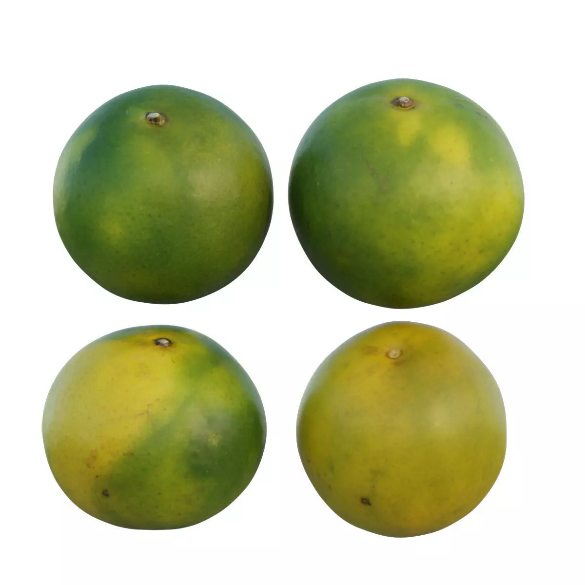 Mandarin four mangoes 3D model_0