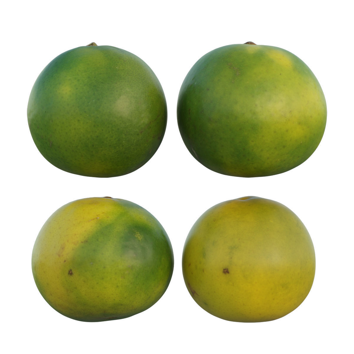 Mandarin four mangoes 3D model_2