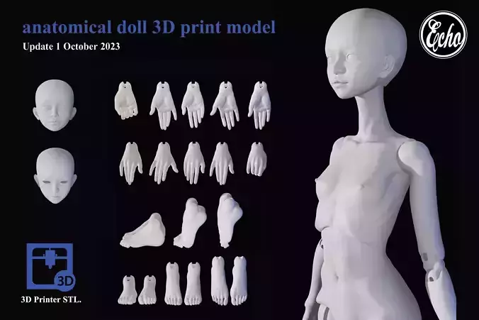 anatomical doll BJD 30mm 3D print model 3D model