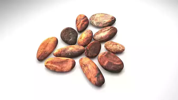 Cocoa Beans