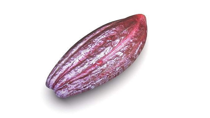 Brown Cocoa Fruit 3D model 4
