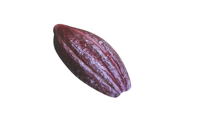Brown Cocoa Fruit 3D model 7