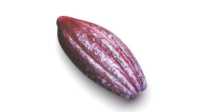 Brown Cocoa Fruit 3D model 3