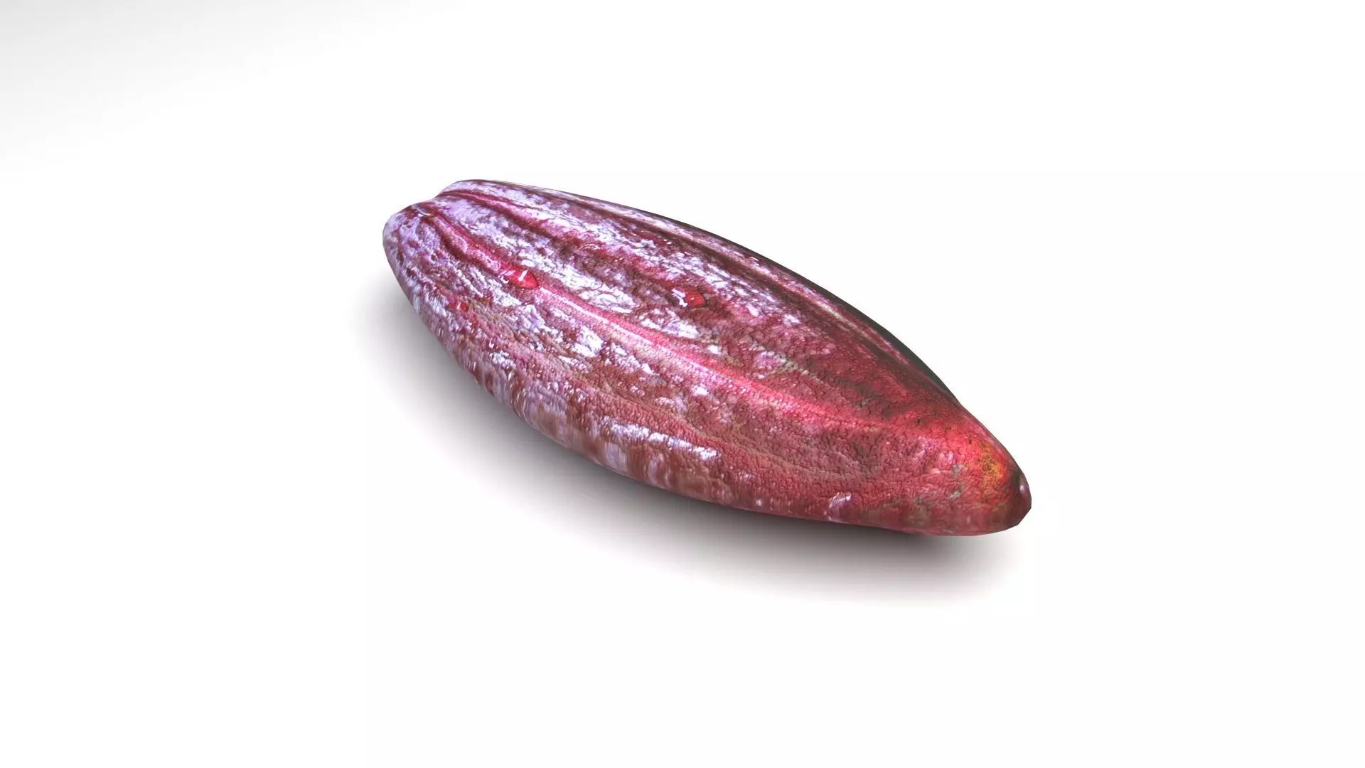 Brown Cocoa Fruit 3D model