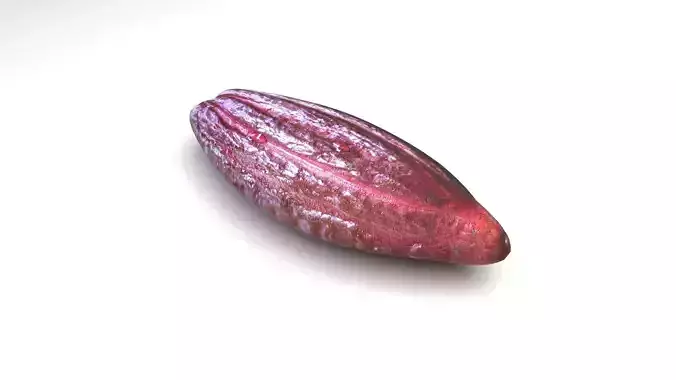 Brown Cocoa Fruit