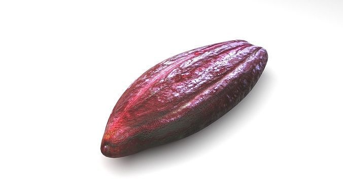 Brown Cocoa Fruit 3D model 2