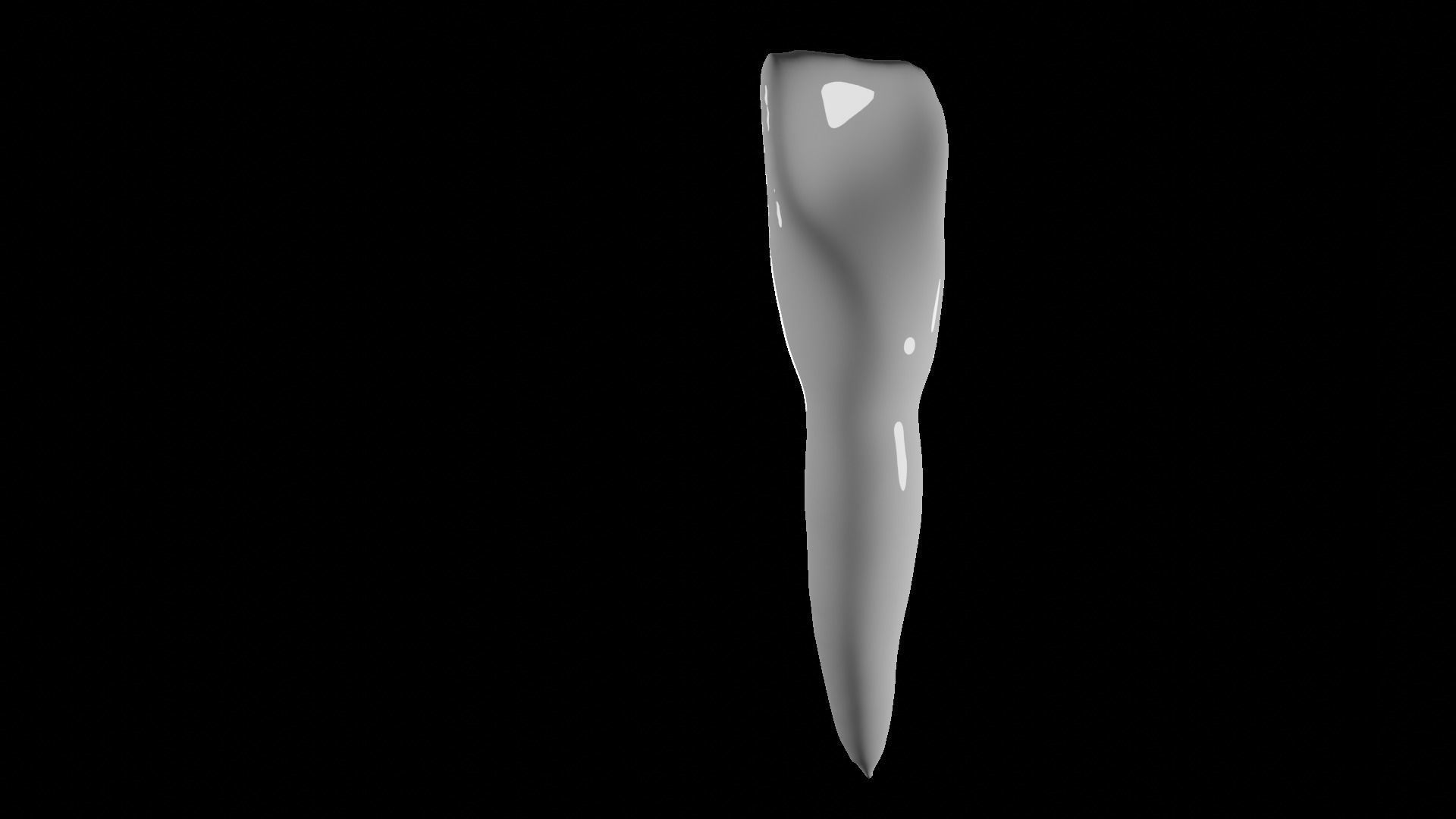Mandibular  Incisor Human Tooth v2 3D model_2