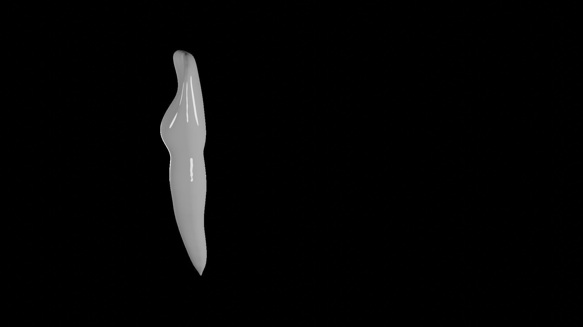 Mandibular  Incisor Human Tooth v2 3D model_1