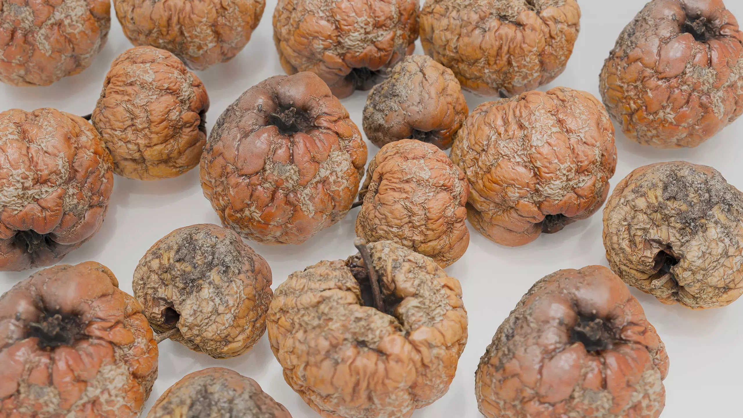 3D Apples set apple with hole in it Low-poly 3D model_8