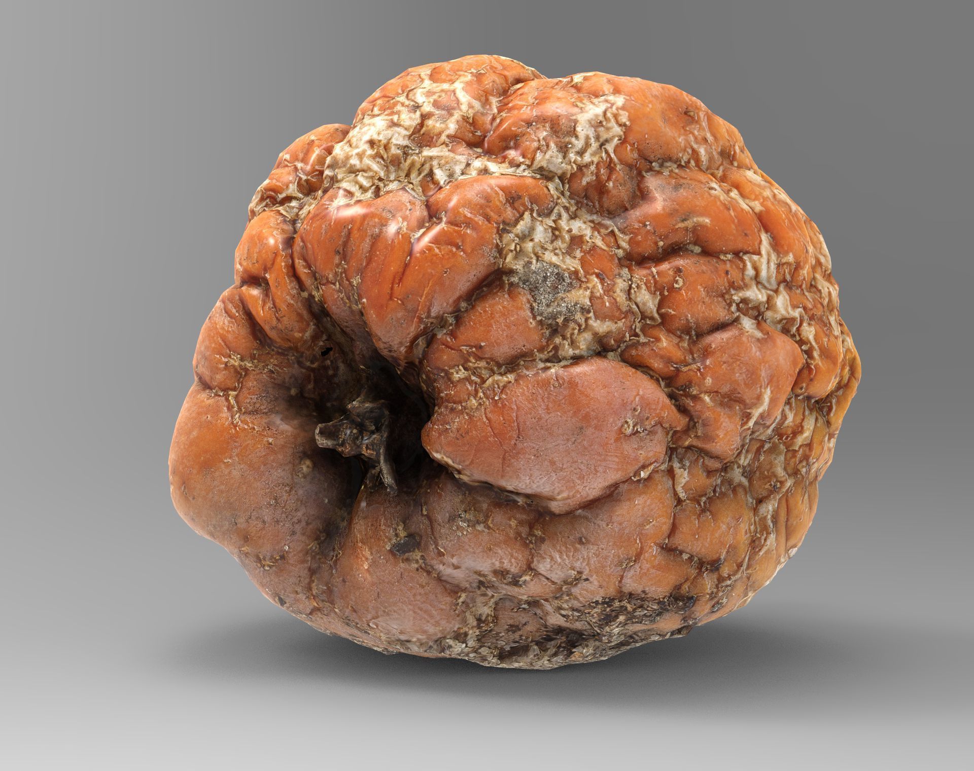 3D Apples set apple with hole in it Low-poly 3D model_33