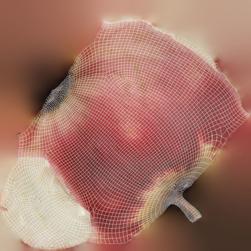 3D Apples set apple with hole in it Low-poly 3D model_22