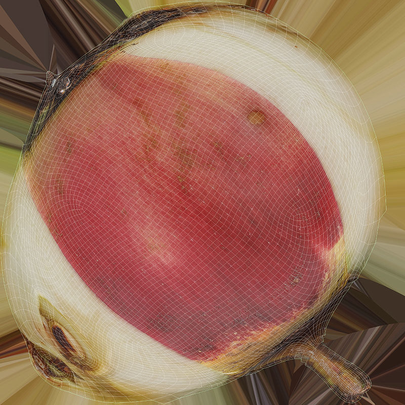 3D Apples set apple with hole in it Low-poly 3D model_28