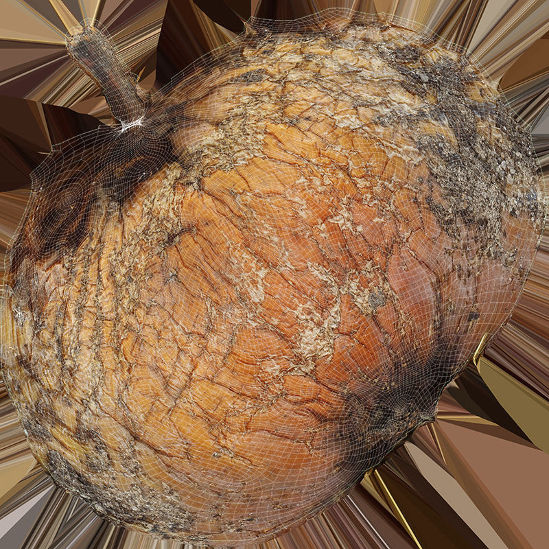 3D Apples set apple with hole in it Low-poly 3D model_32