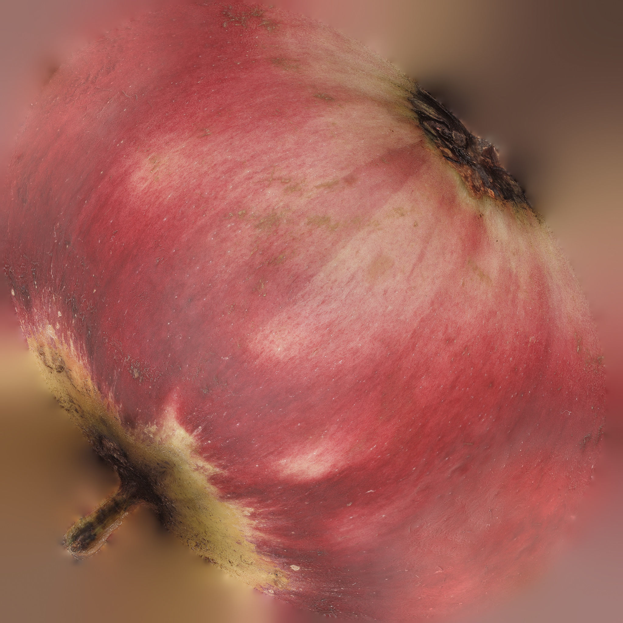 3D Apples set apple with hole in it Low-poly 3D model_13