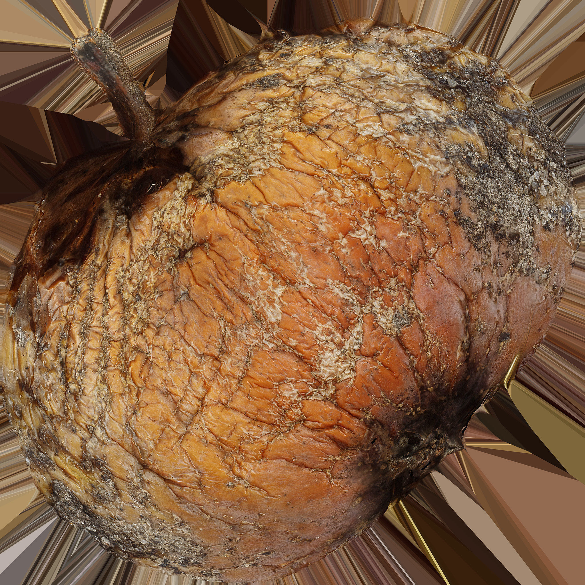 3D Apples set apple with hole in it Low-poly 3D model_30