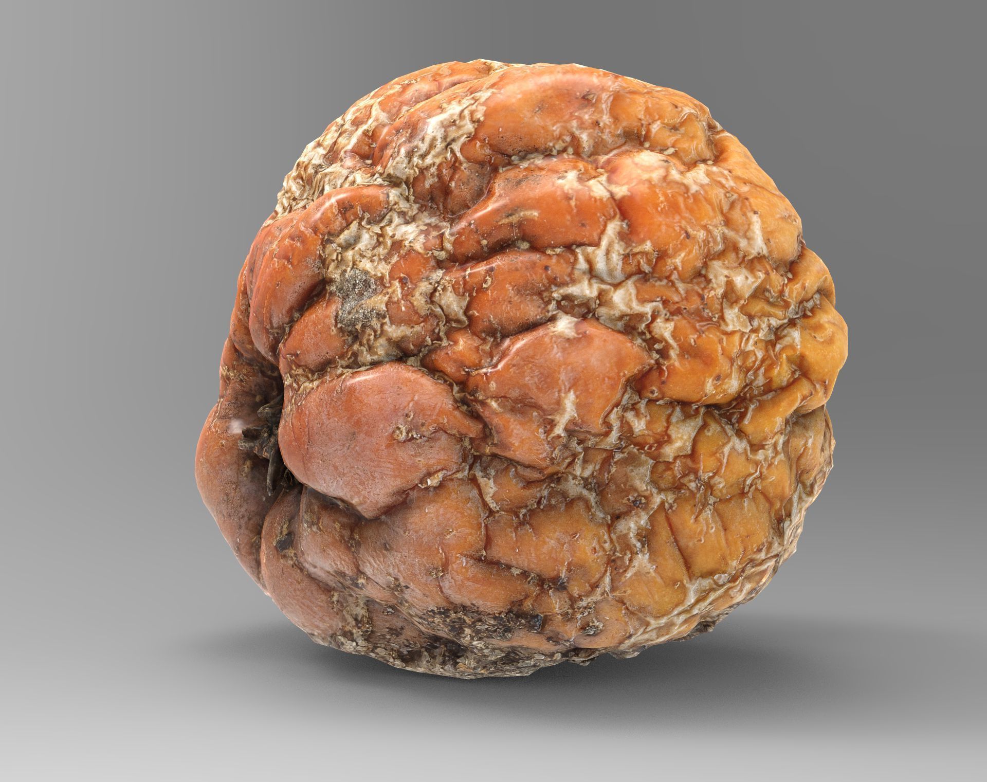 3D Apples set apple with hole in it Low-poly 3D model_36