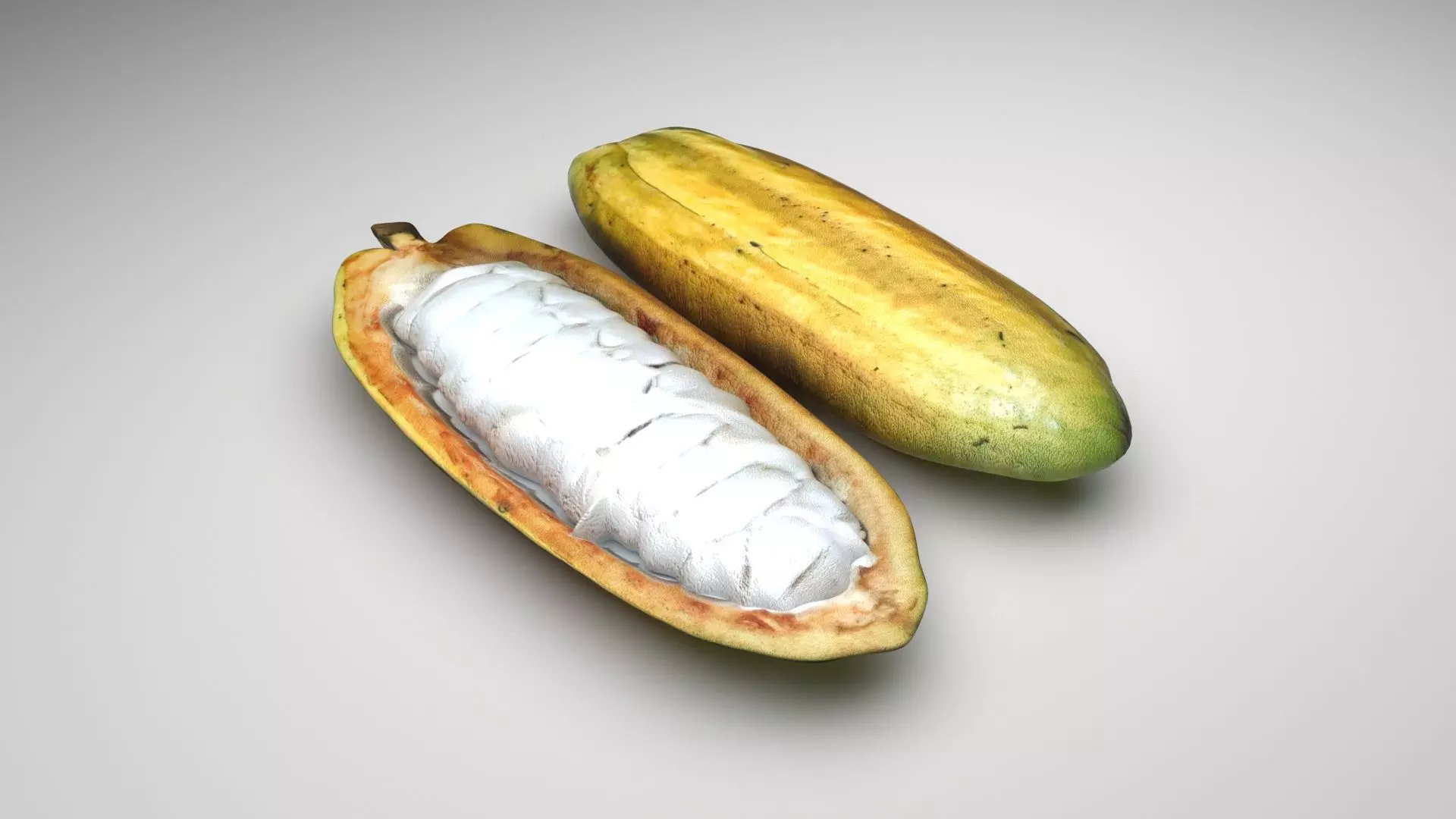 Opened and Unripe Cocoa Fruit 3D model