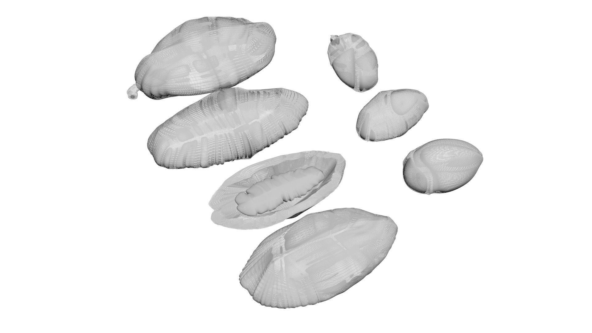 Cocoa Fruits and Beans Set 3D model_26