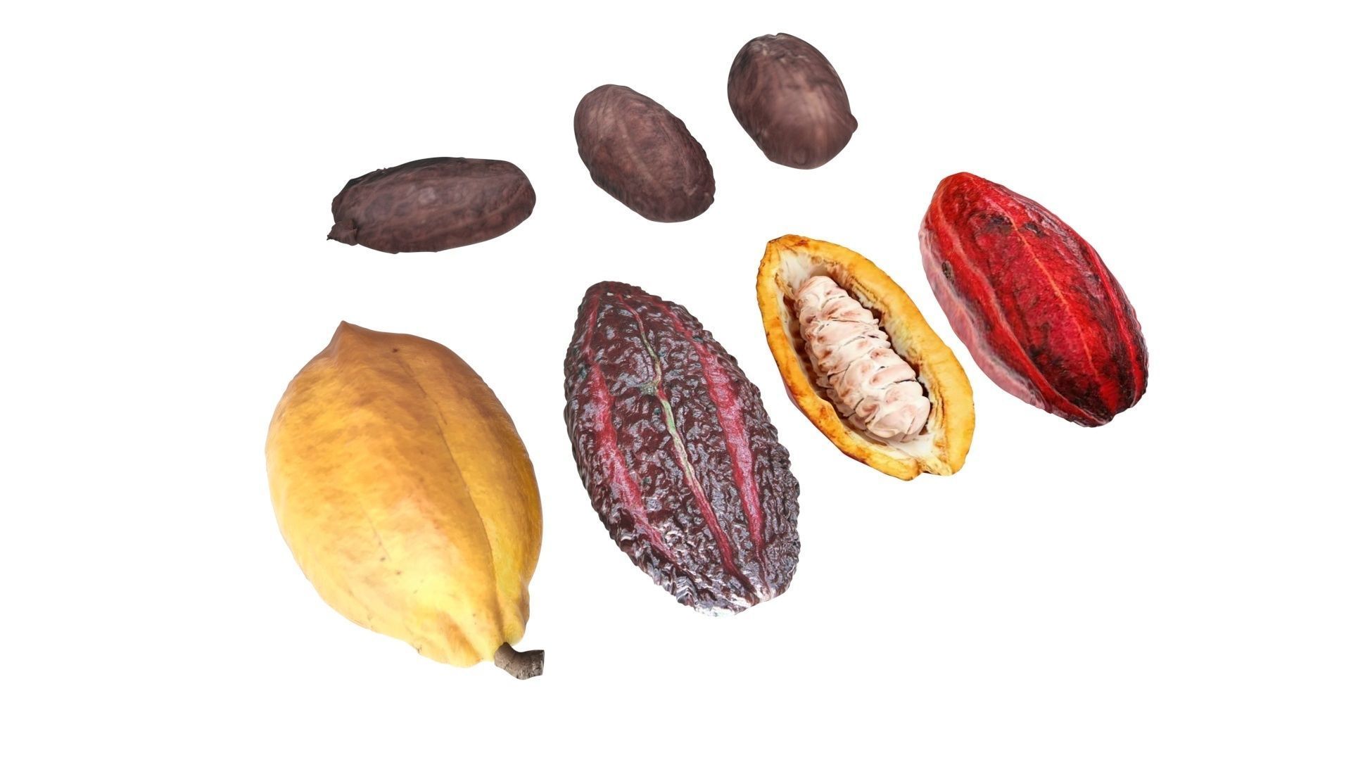 Cocoa Fruits and Beans Set 3D model_14