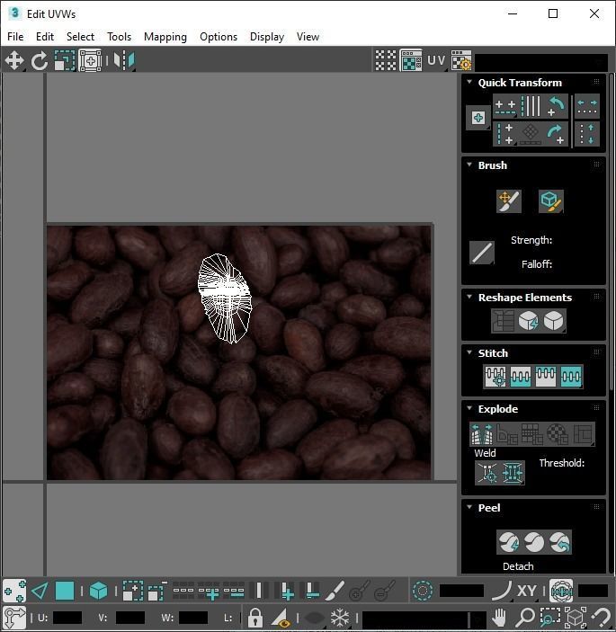 Cocoa Fruits and Beans Set 3D model_38
