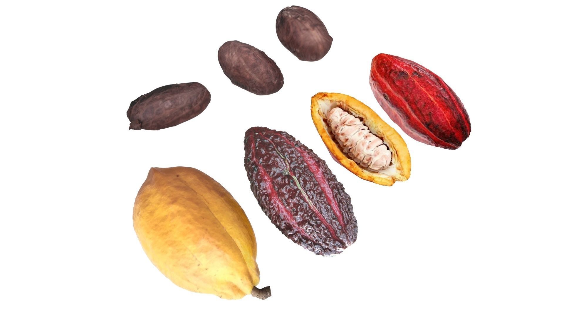 Cocoa Fruits and Beans Set 3D model_18