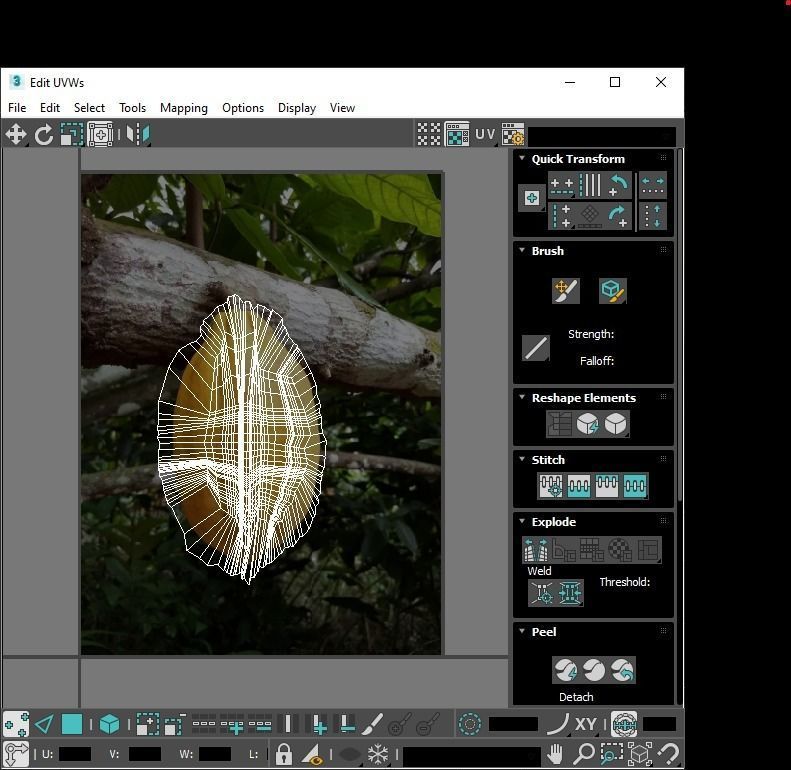 Cocoa Fruits and Beans Set 3D model_35