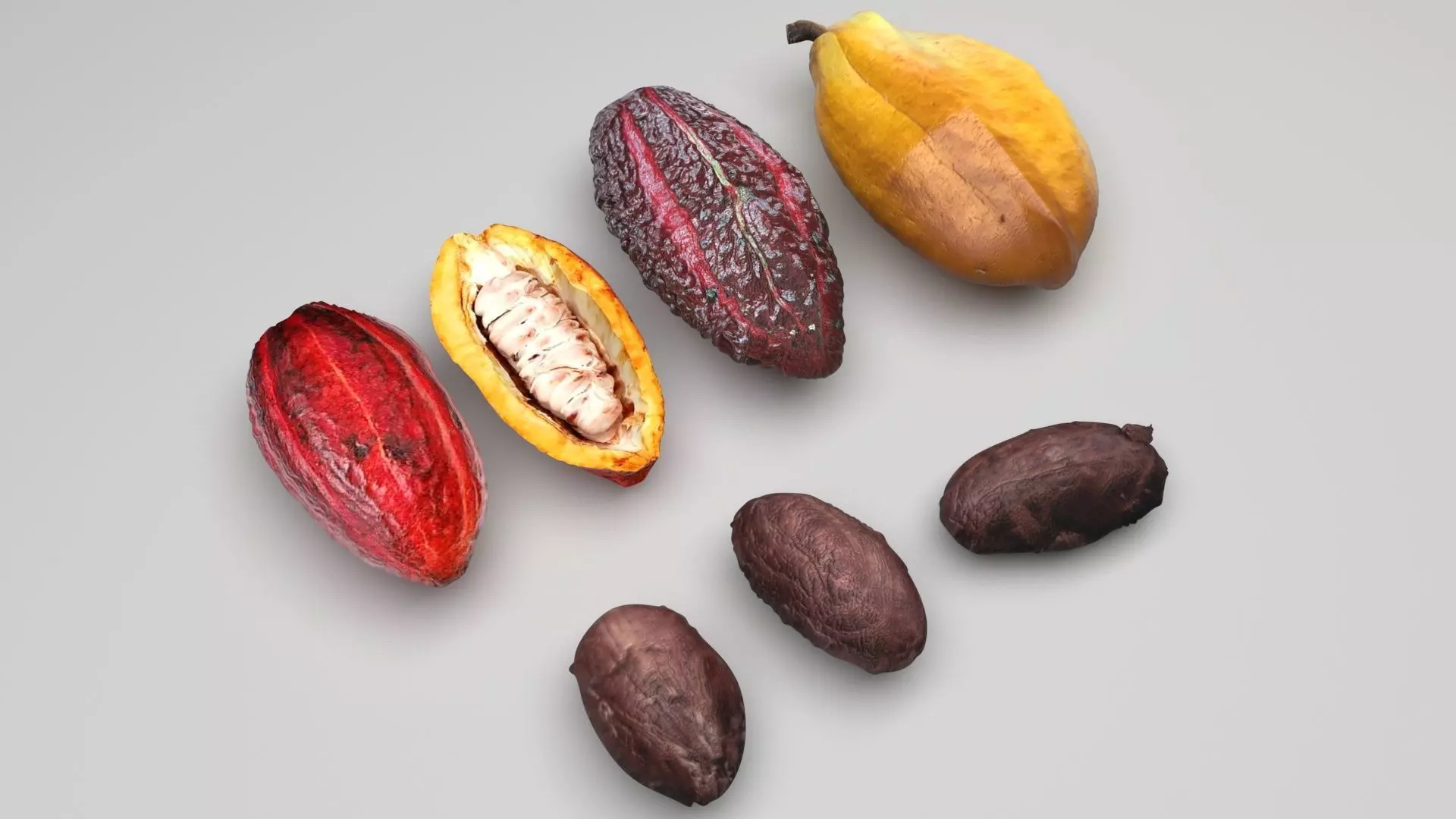 Cocoa Fruits and Beans Set 3D model_0